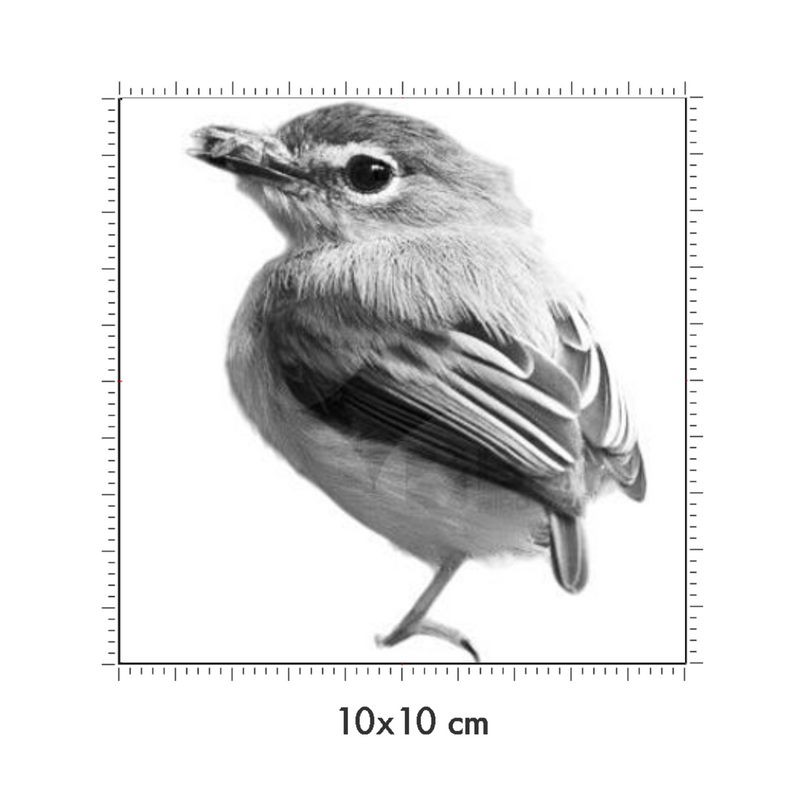 10 x 10 cm