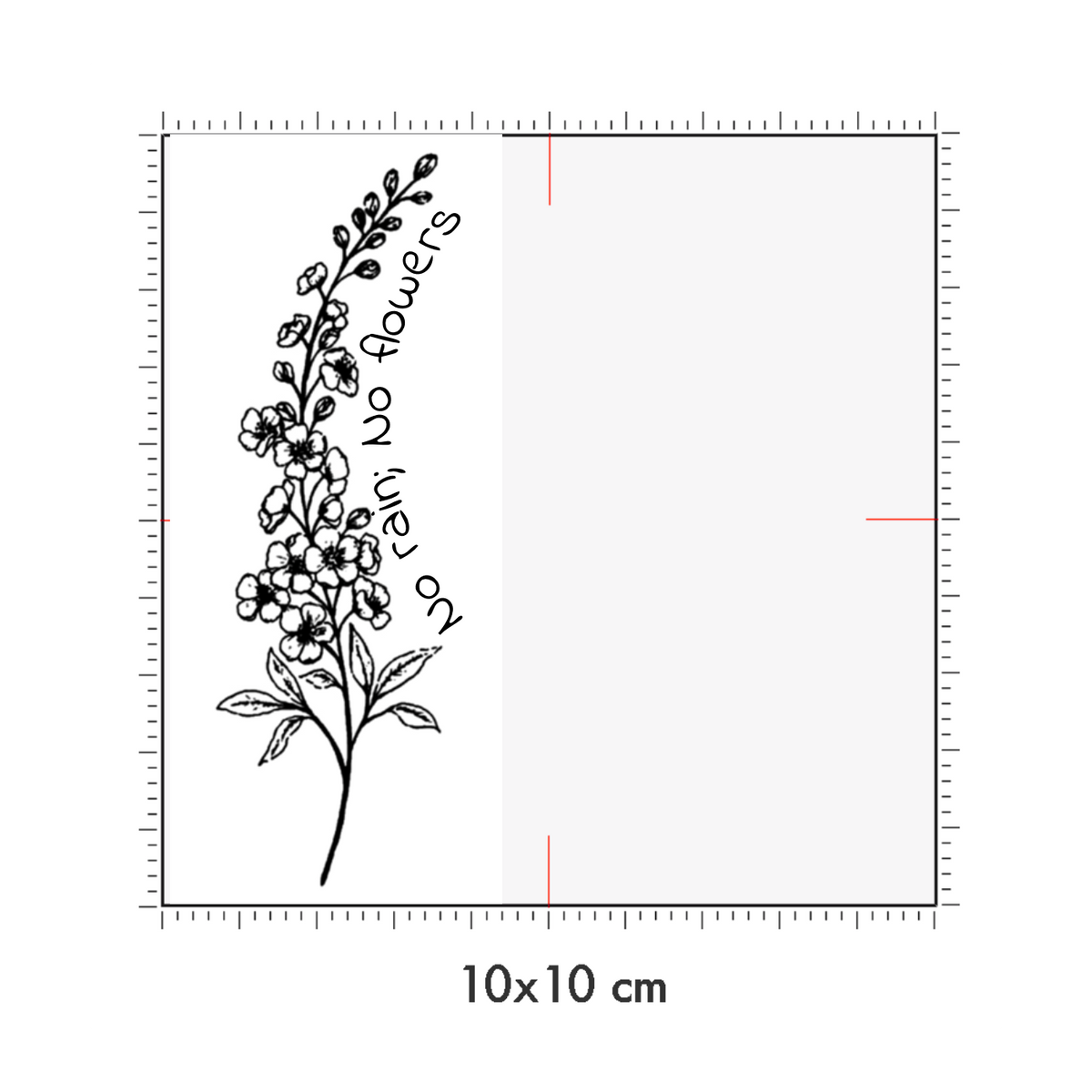 10 x 10 cm