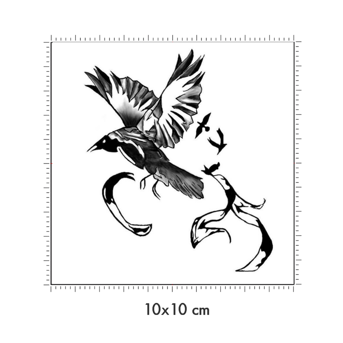 10 x 10 cm