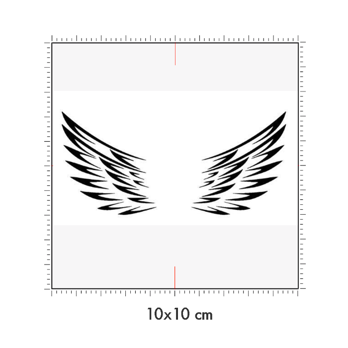 10 x 10 cm
