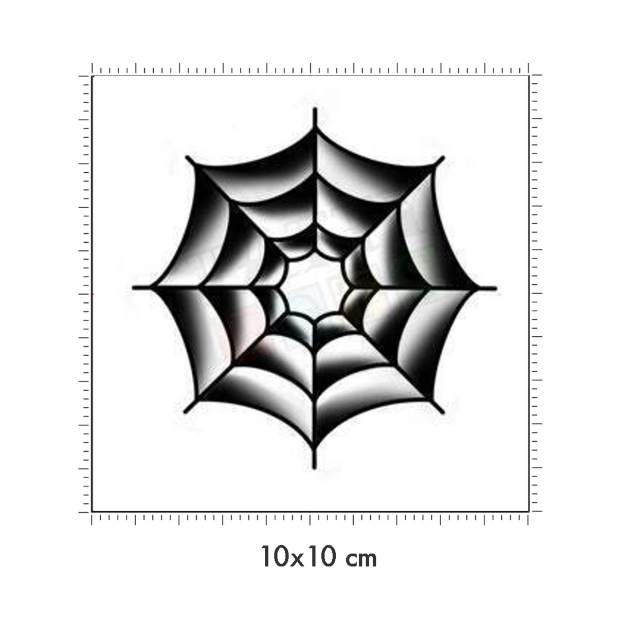 10 x 10 cm