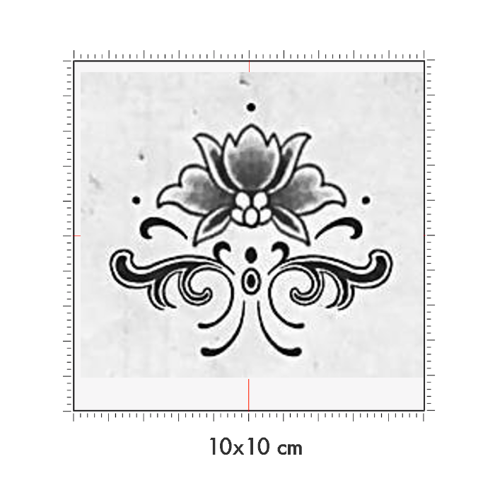 10 x 10 cm