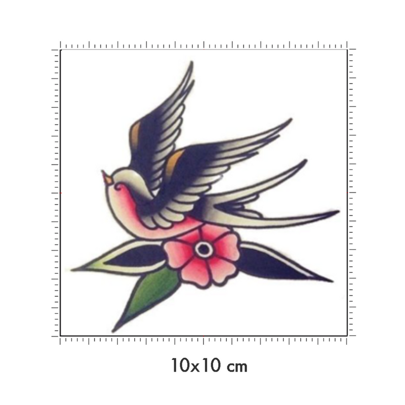 10 x 10 cm