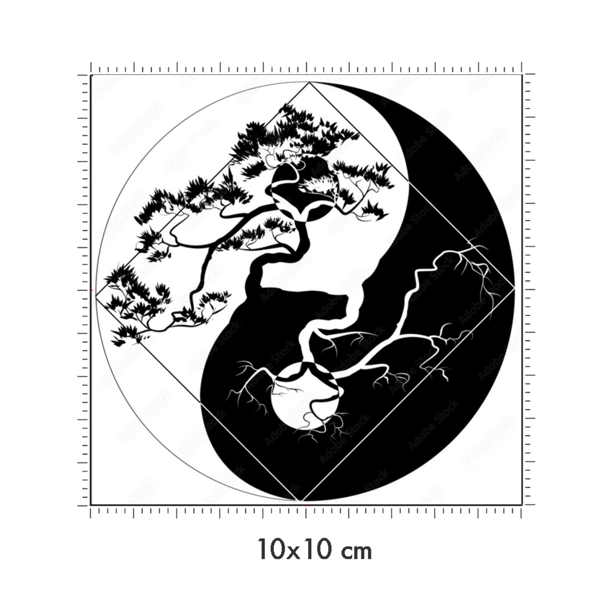 10 x 10 cm