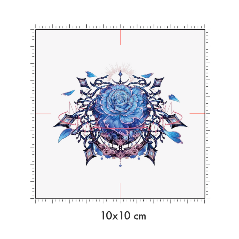 10 x 10 cm