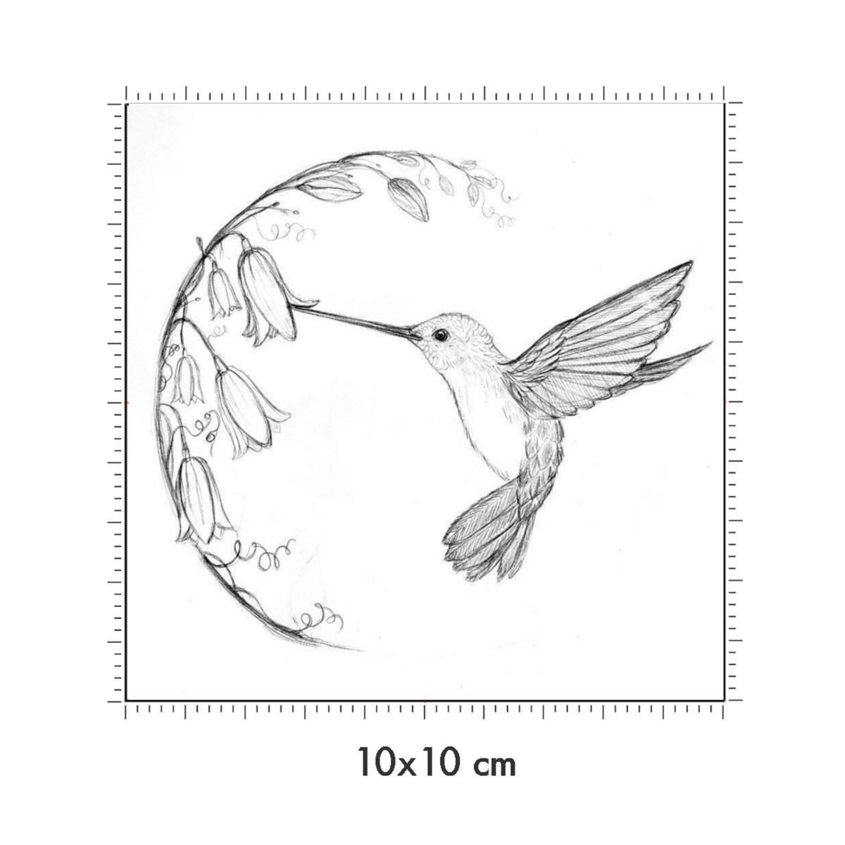 10 x 10 cm
