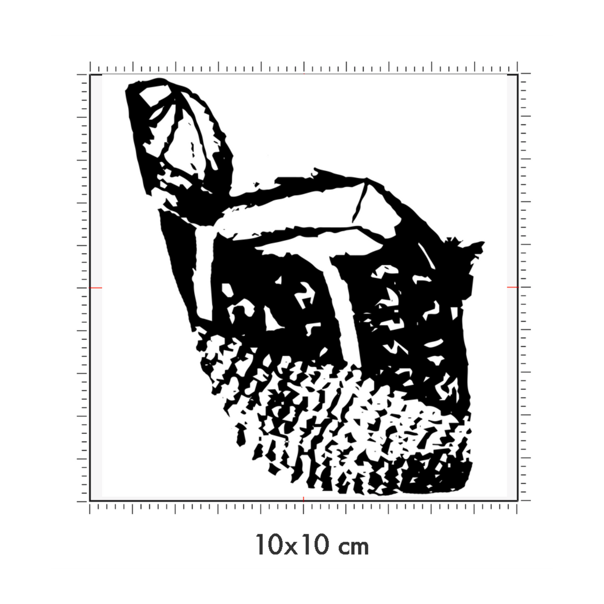 10 x 10 cm