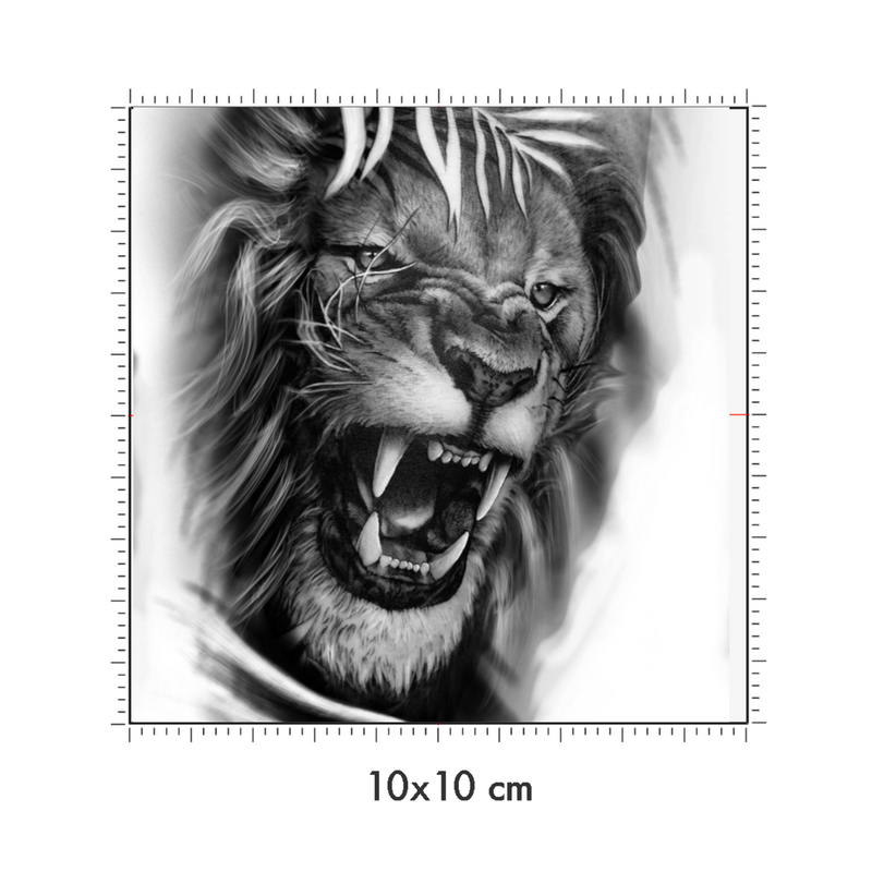 10 x 10 cm