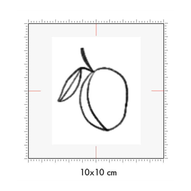 10 x 10 cm
