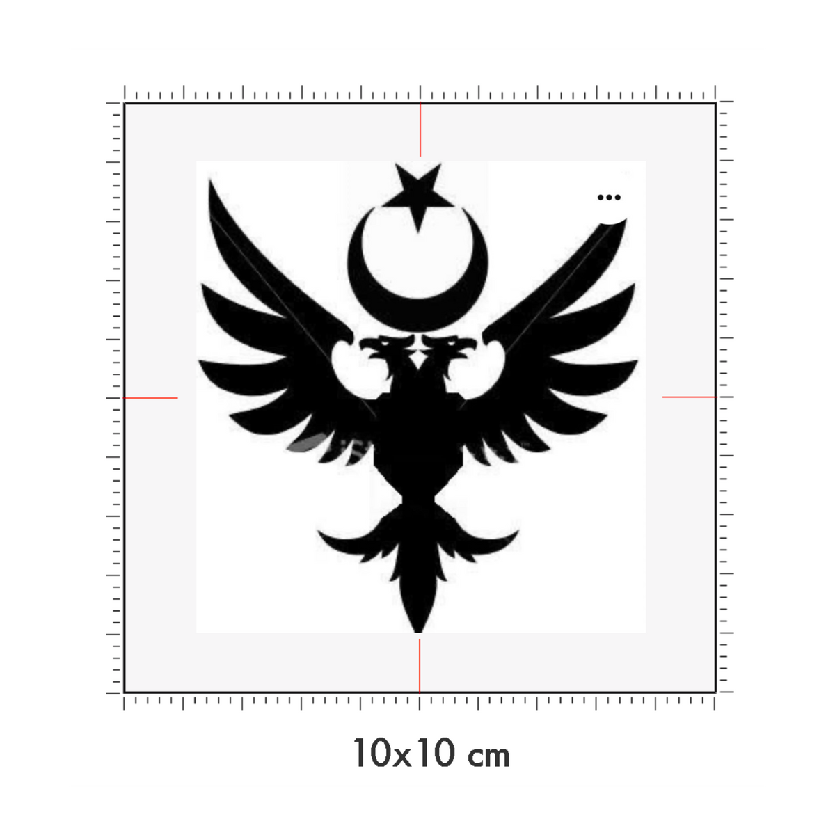 10 x 10 cm