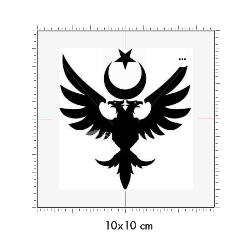 10 x 10 cm