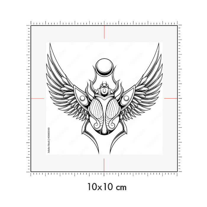 10 x 10 cm
