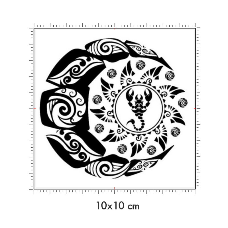 10 x 10 cm