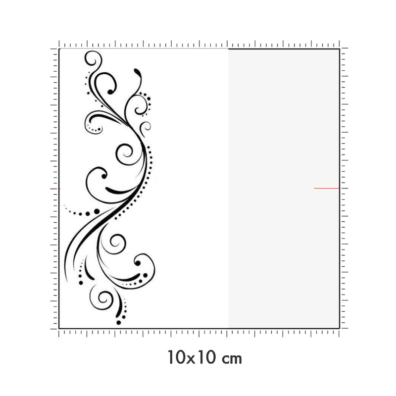 10 x 10 cm