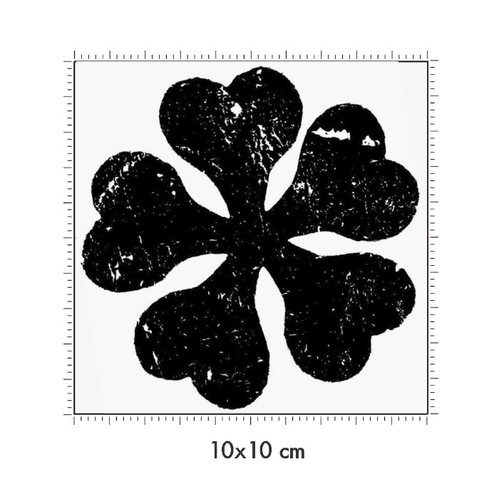 10 x 10 cm