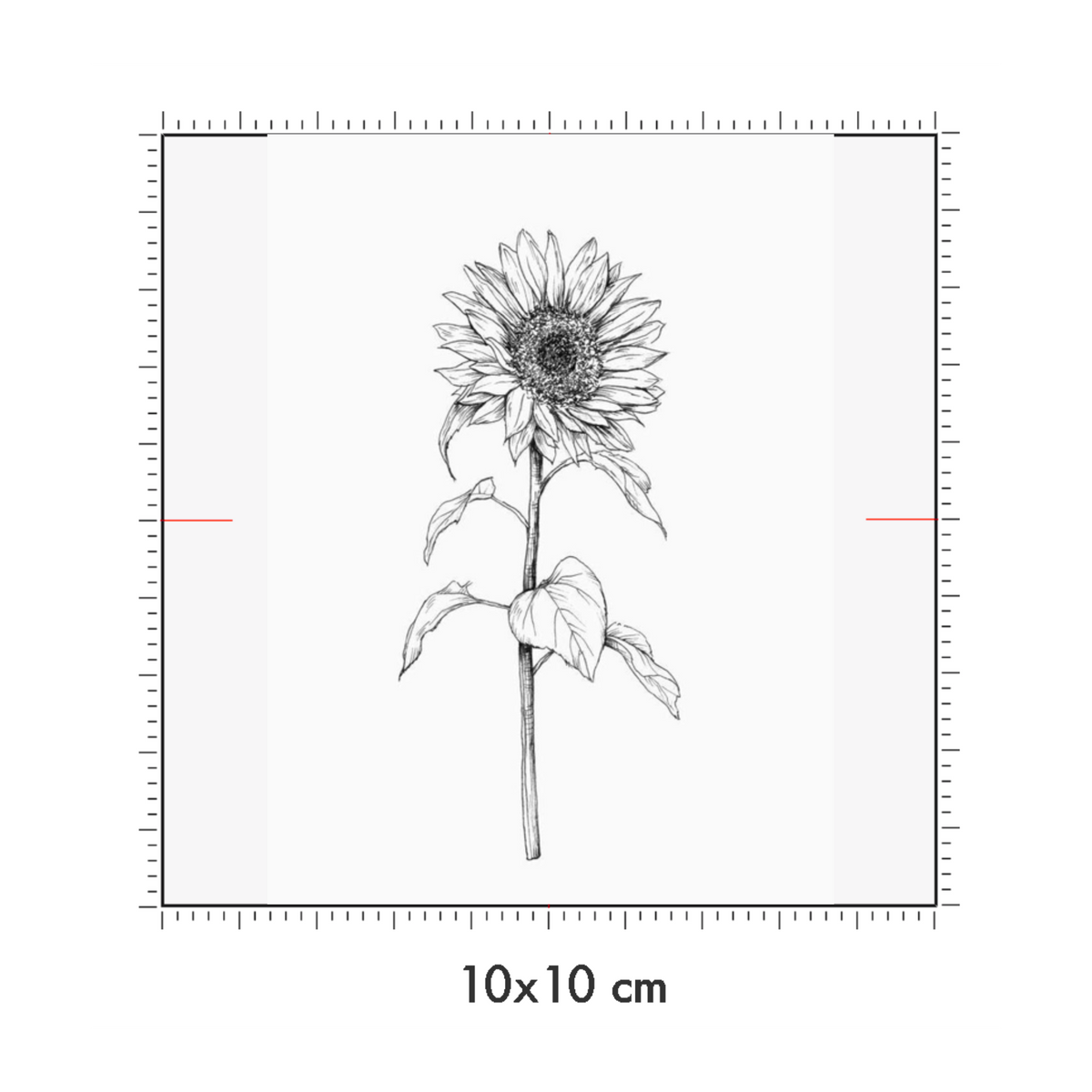 10 x 10 cm