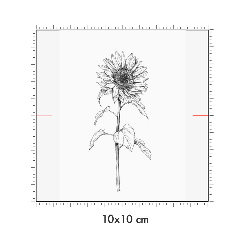 10 x 10 cm