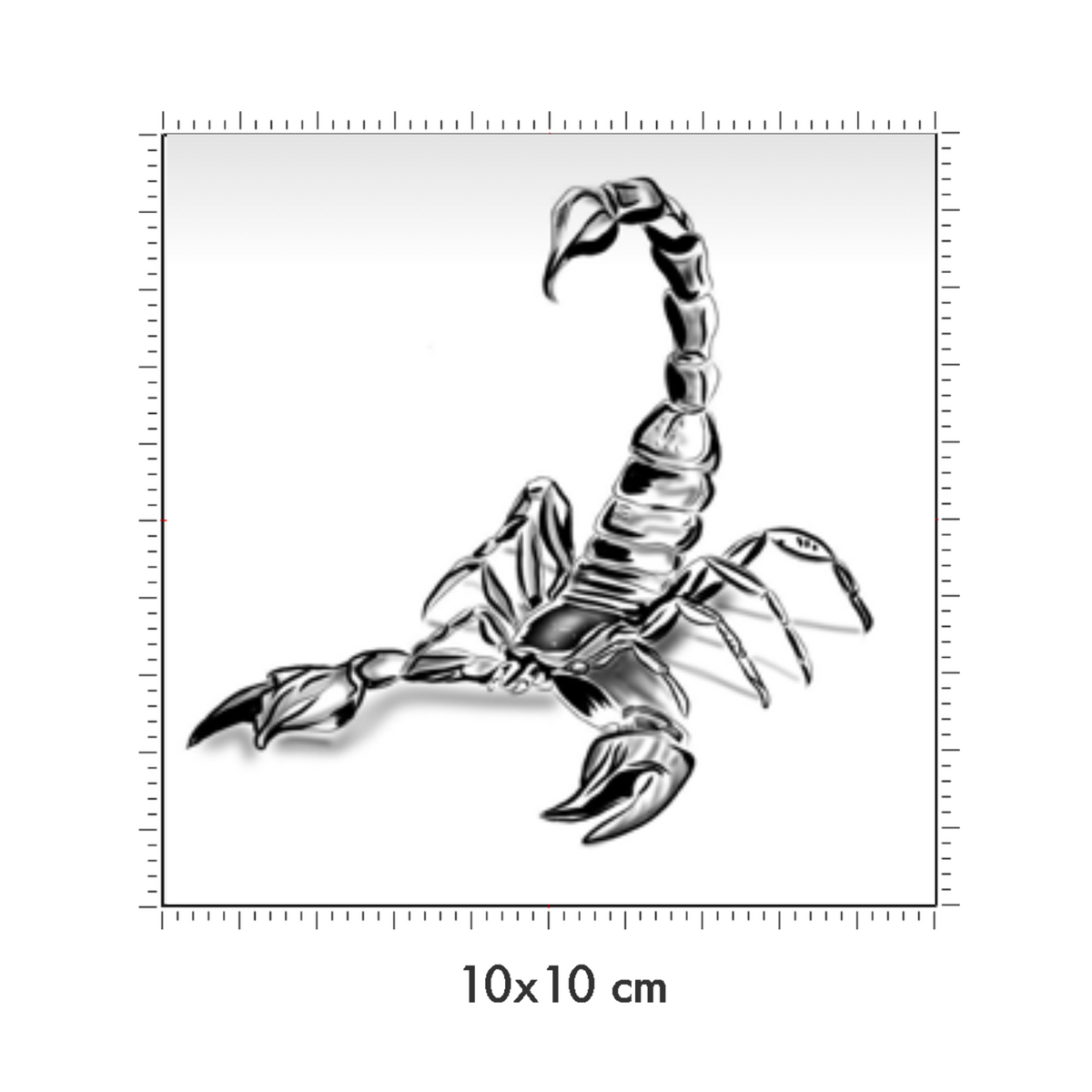 10 x 10 cm