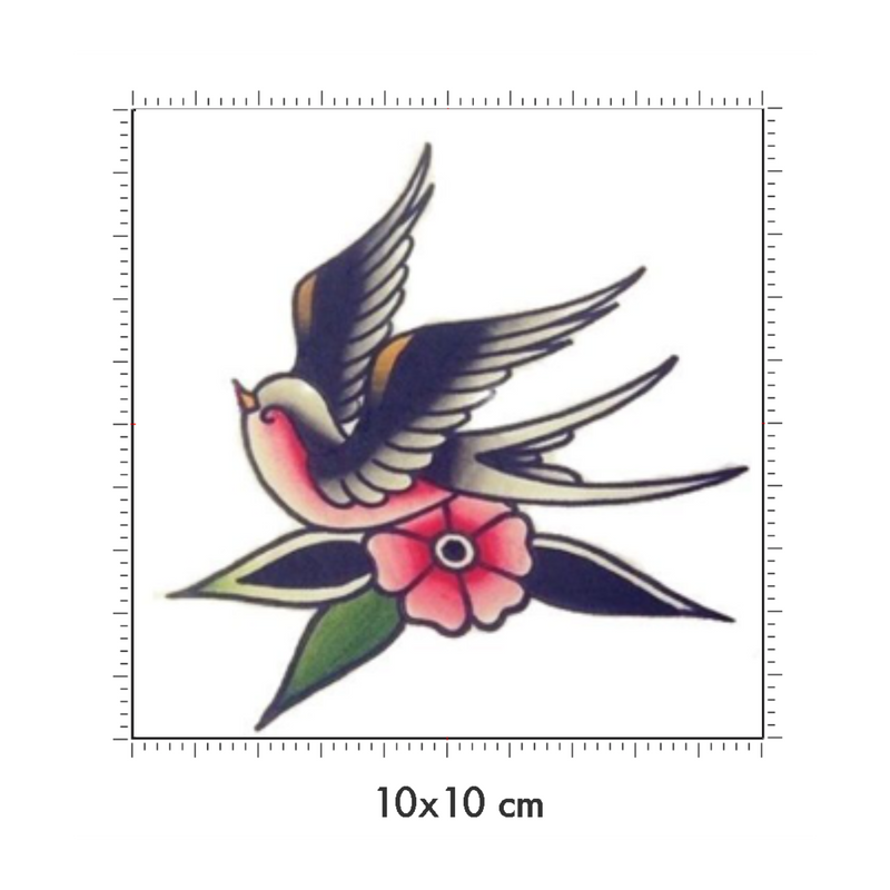 10 x 10 cm