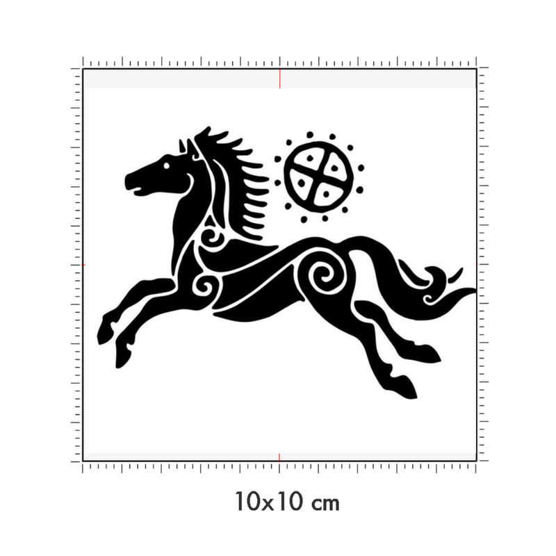 10 x 10 cm