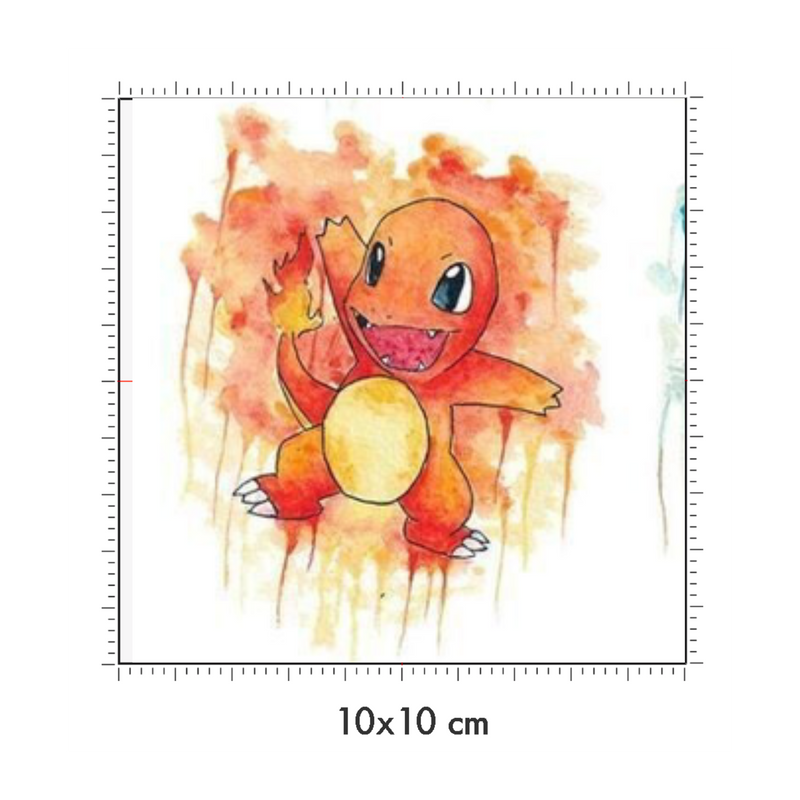 10 x 10 cm