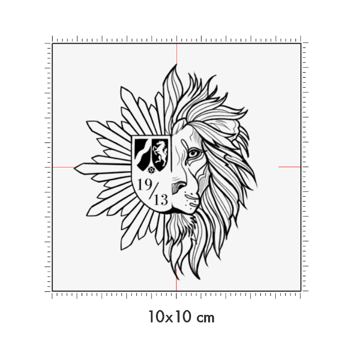 10 x 10 cm