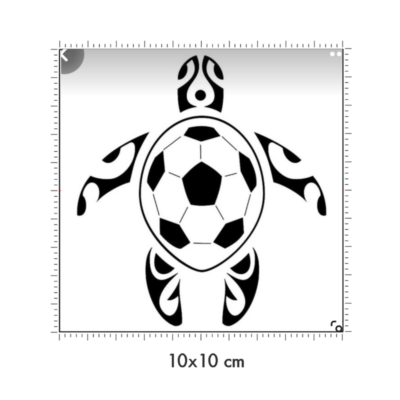 10 x 10 cm