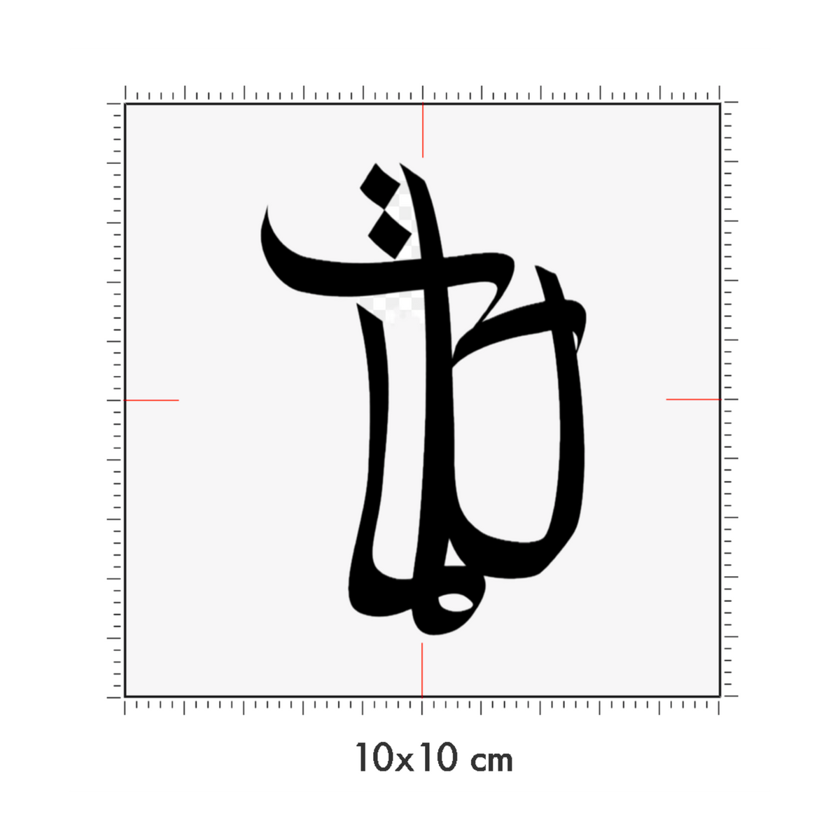 10 x 10 cm