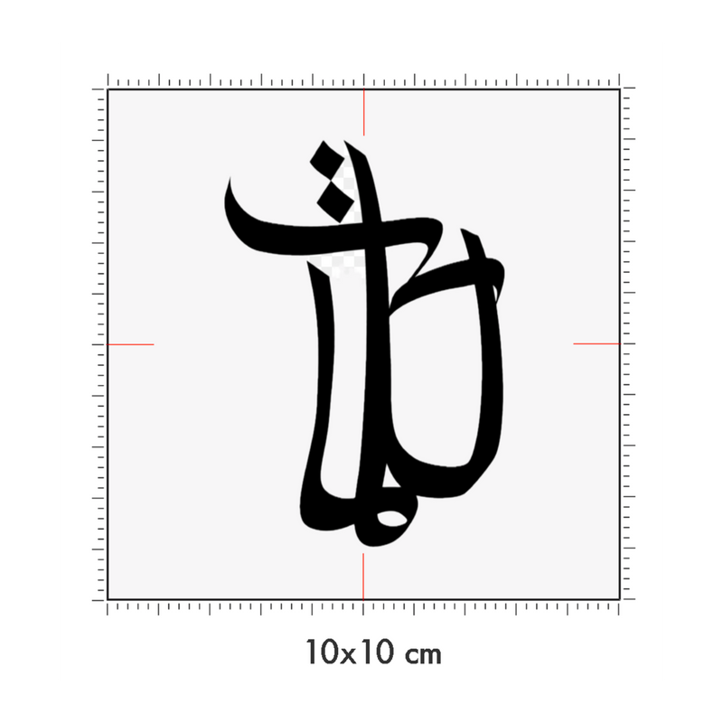 10 x 10 cm