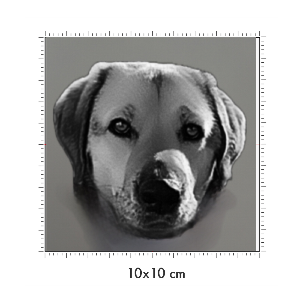 10 x 10 cm