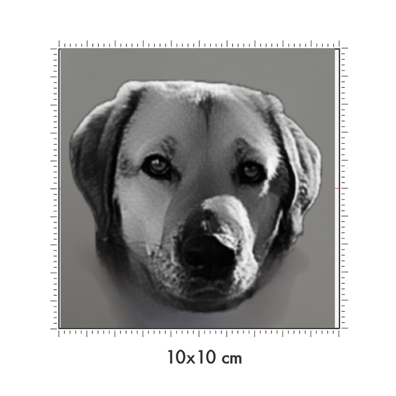 10 x 10 cm