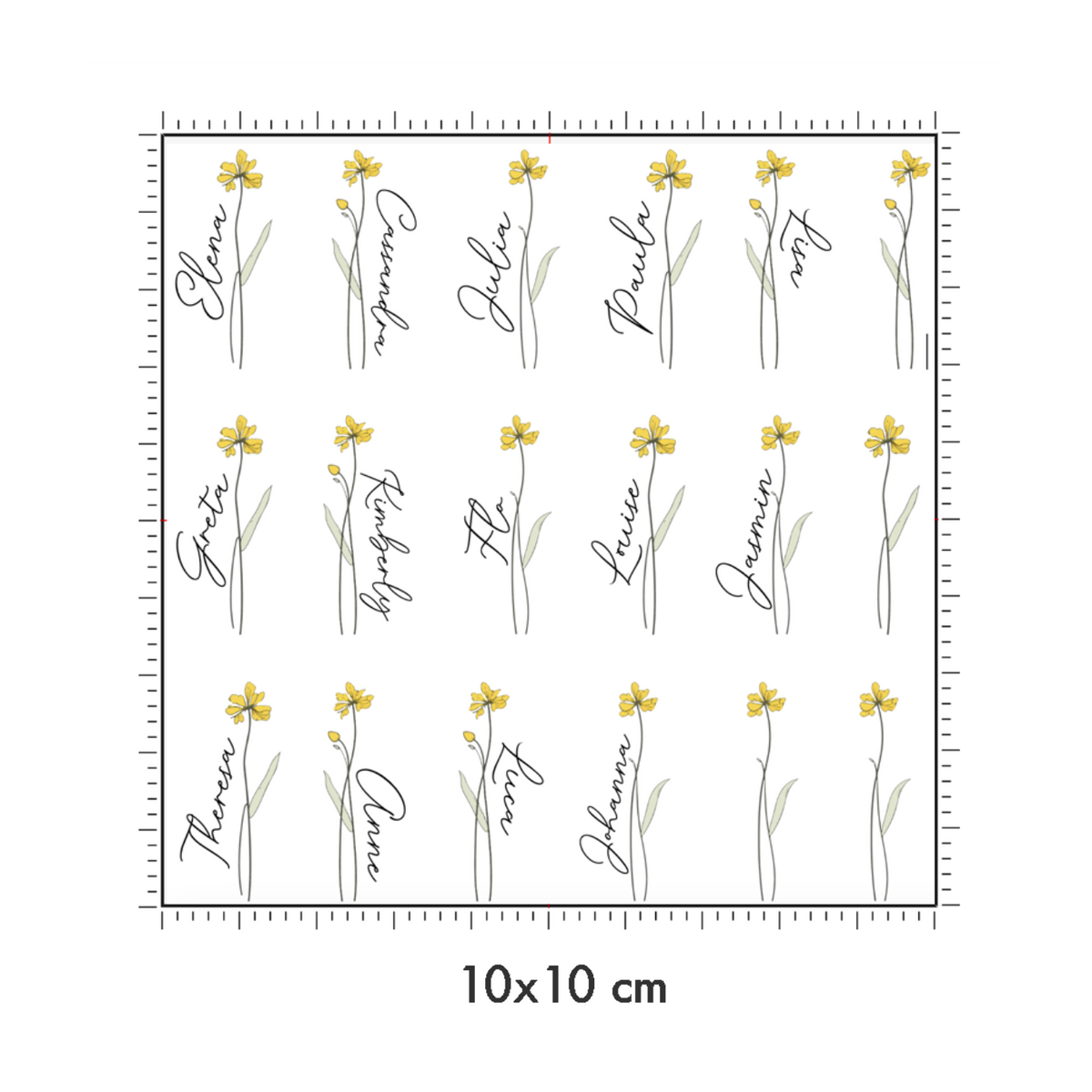 10 x 10 cm