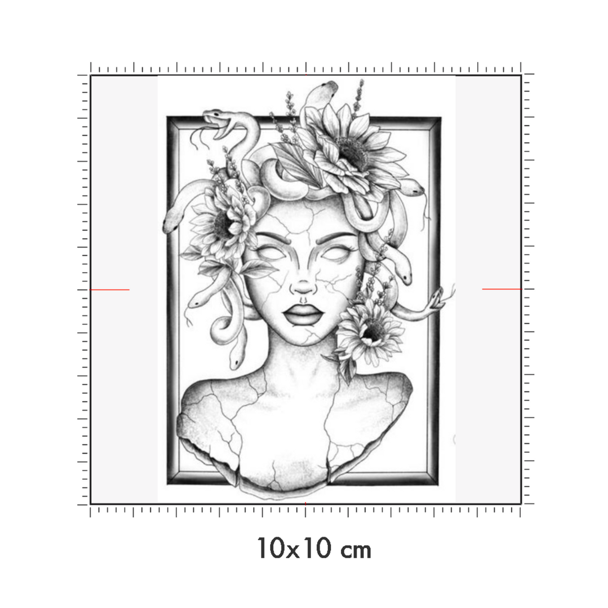 10 x 10 cm
