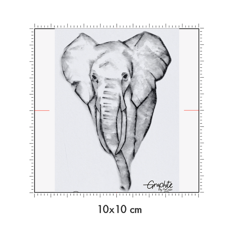 10 x 10 cm