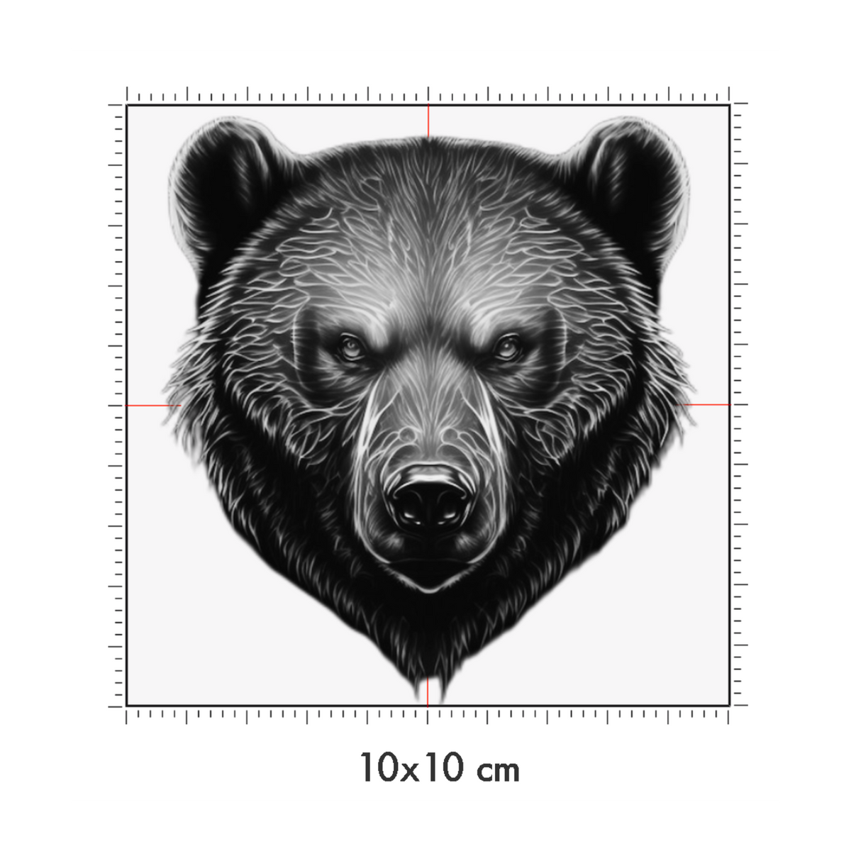 10 x 10 cm