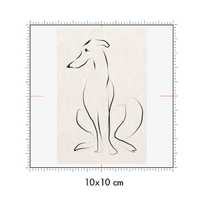 10 x 10 cm