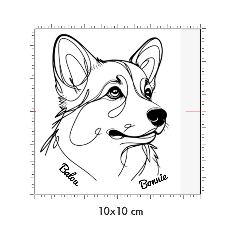 10 x 10 cm
