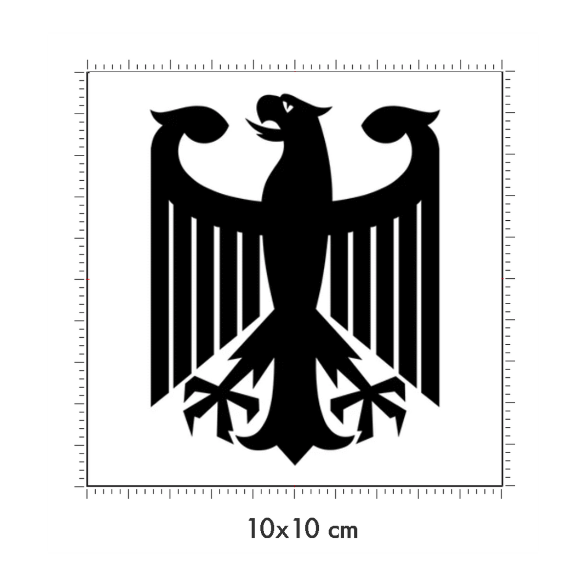 10 x 10 cm
