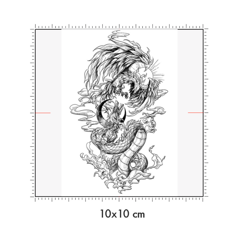 10 x 10 cm