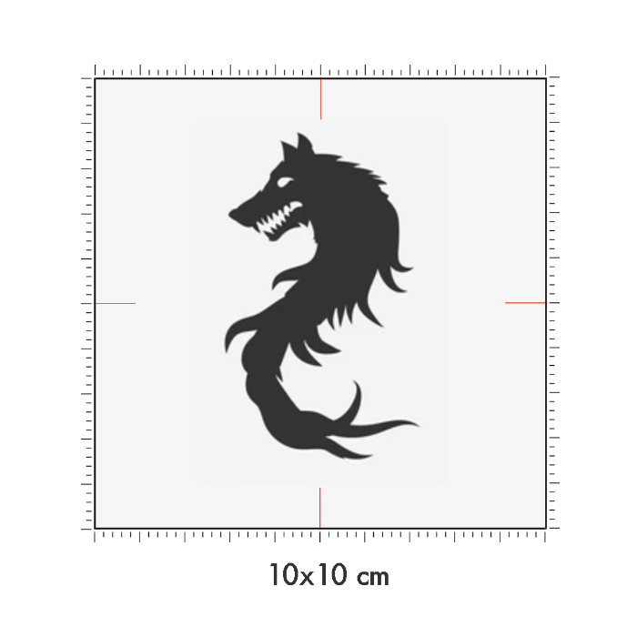 10 x 10 cm
