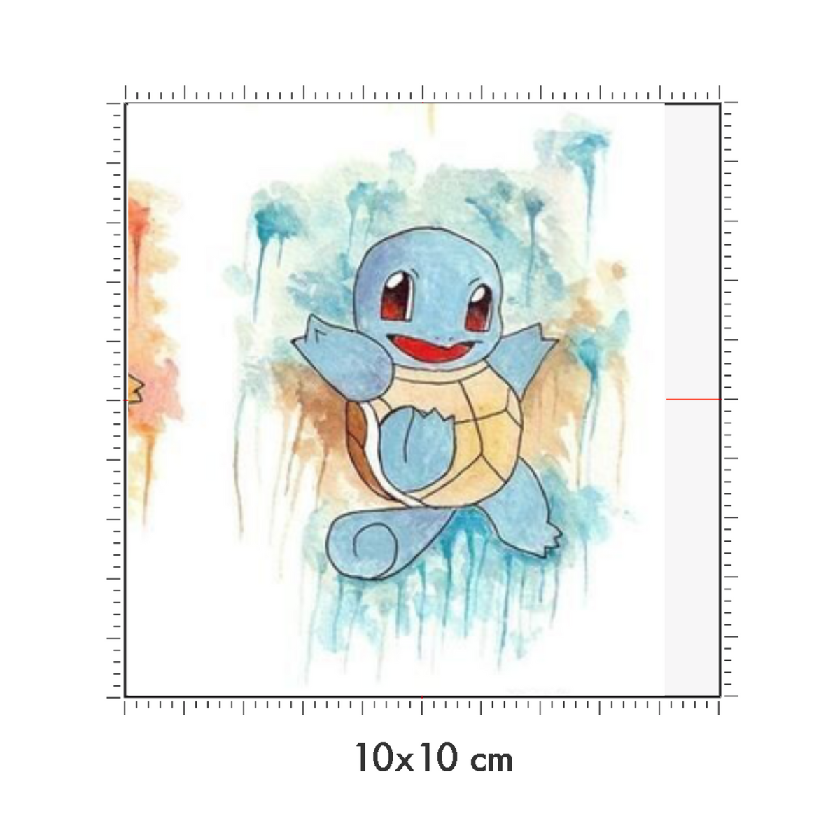 10 x 10 cm