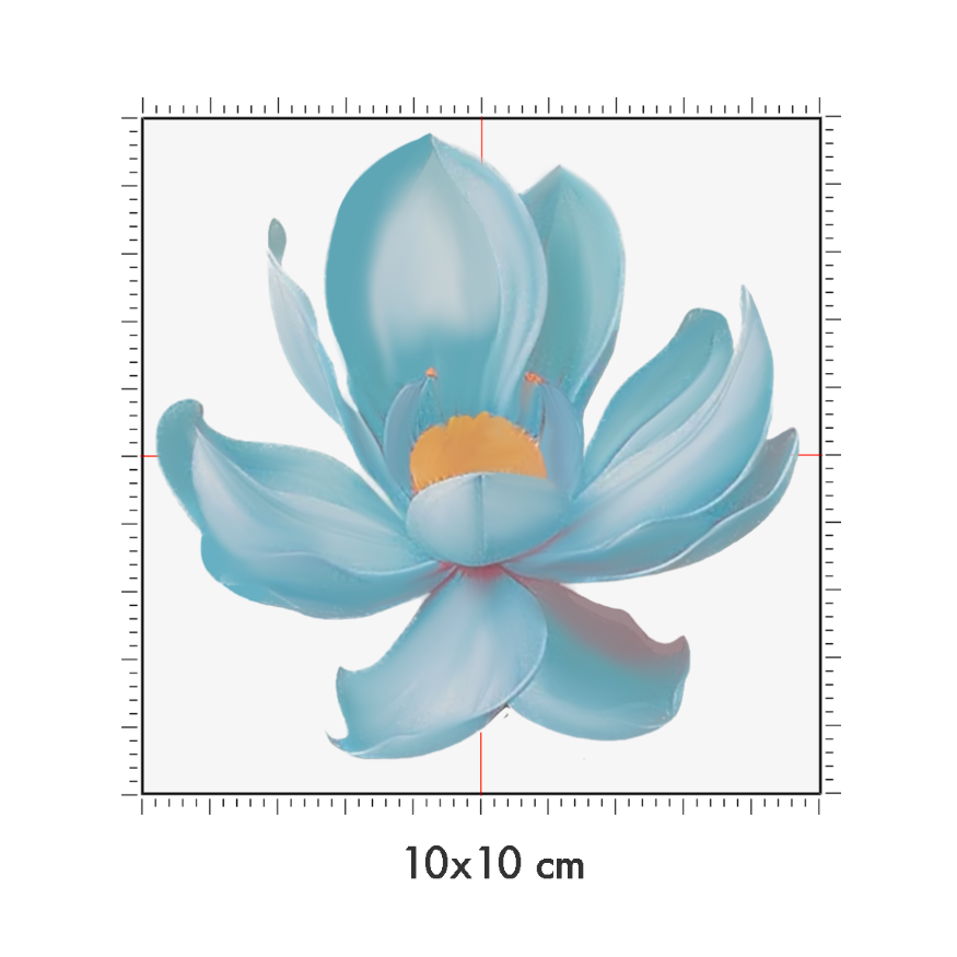 10 x 10 cm