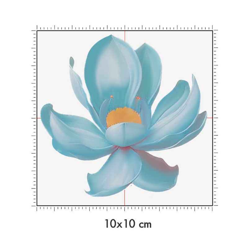 10 x 10 cm