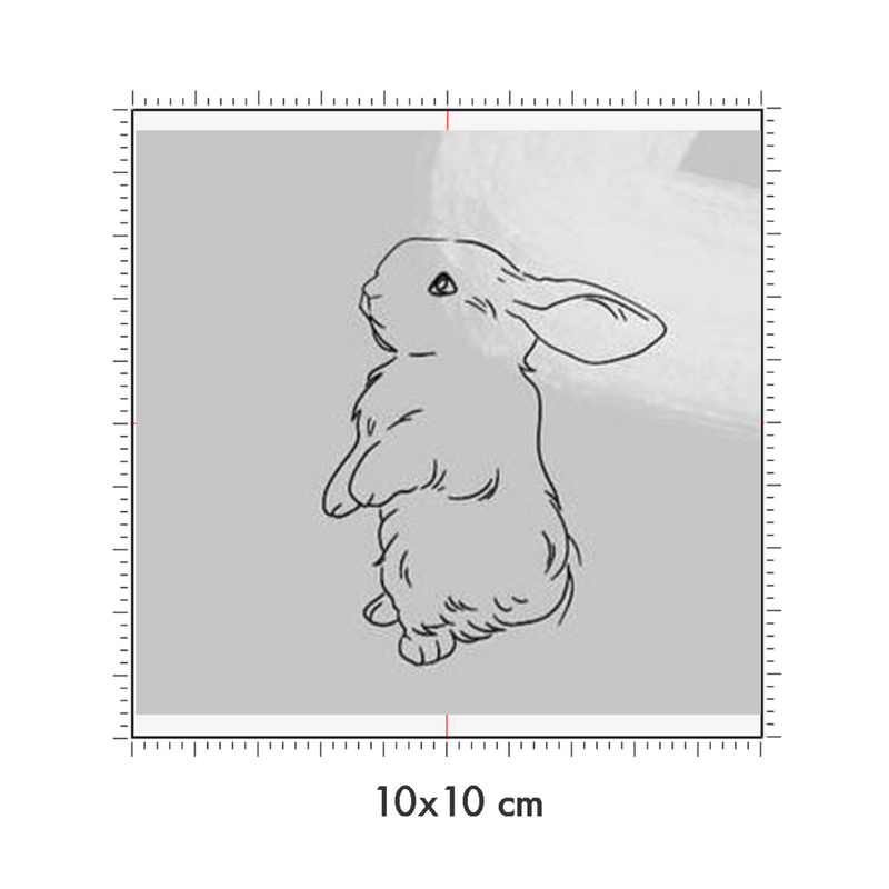 10 x 10 cm