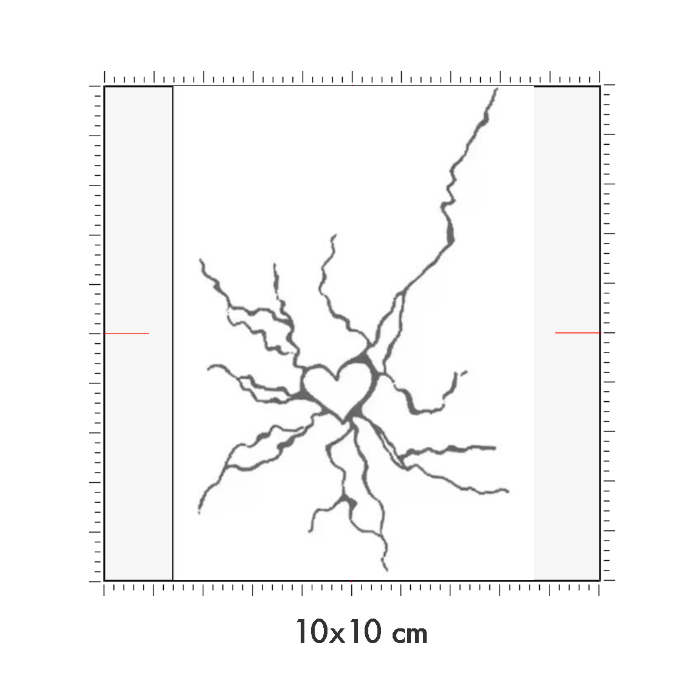 10 x 10 cm