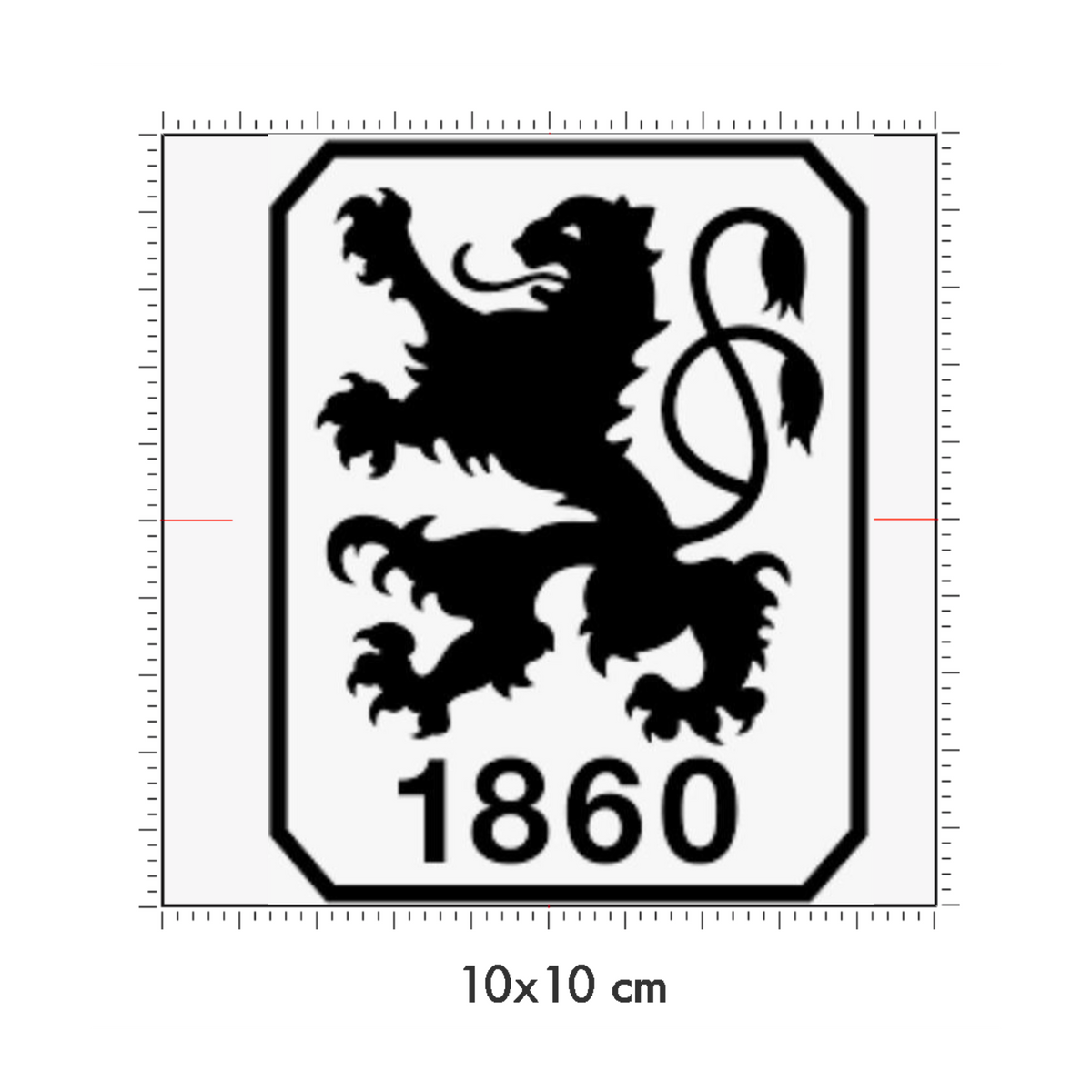 10 x 10 cm