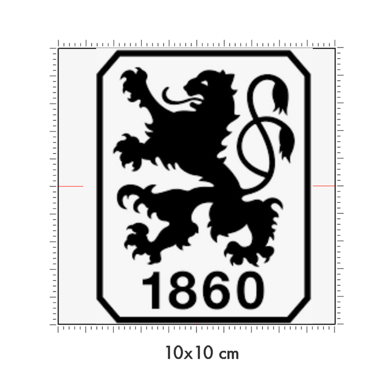 10 x 10 cm