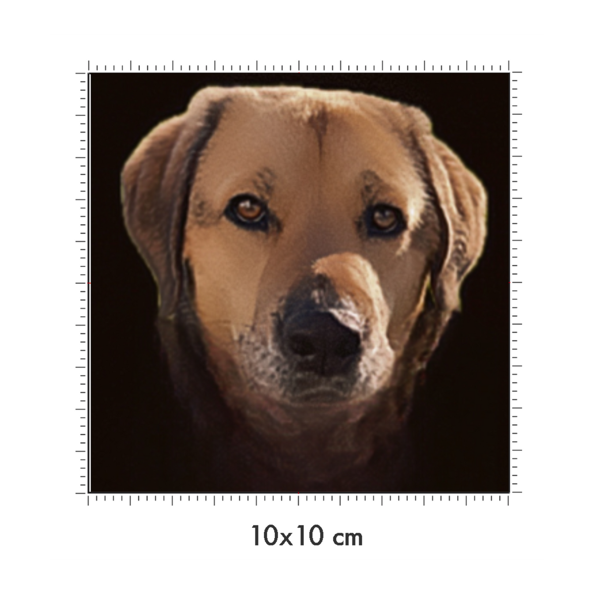 10 x 10 cm