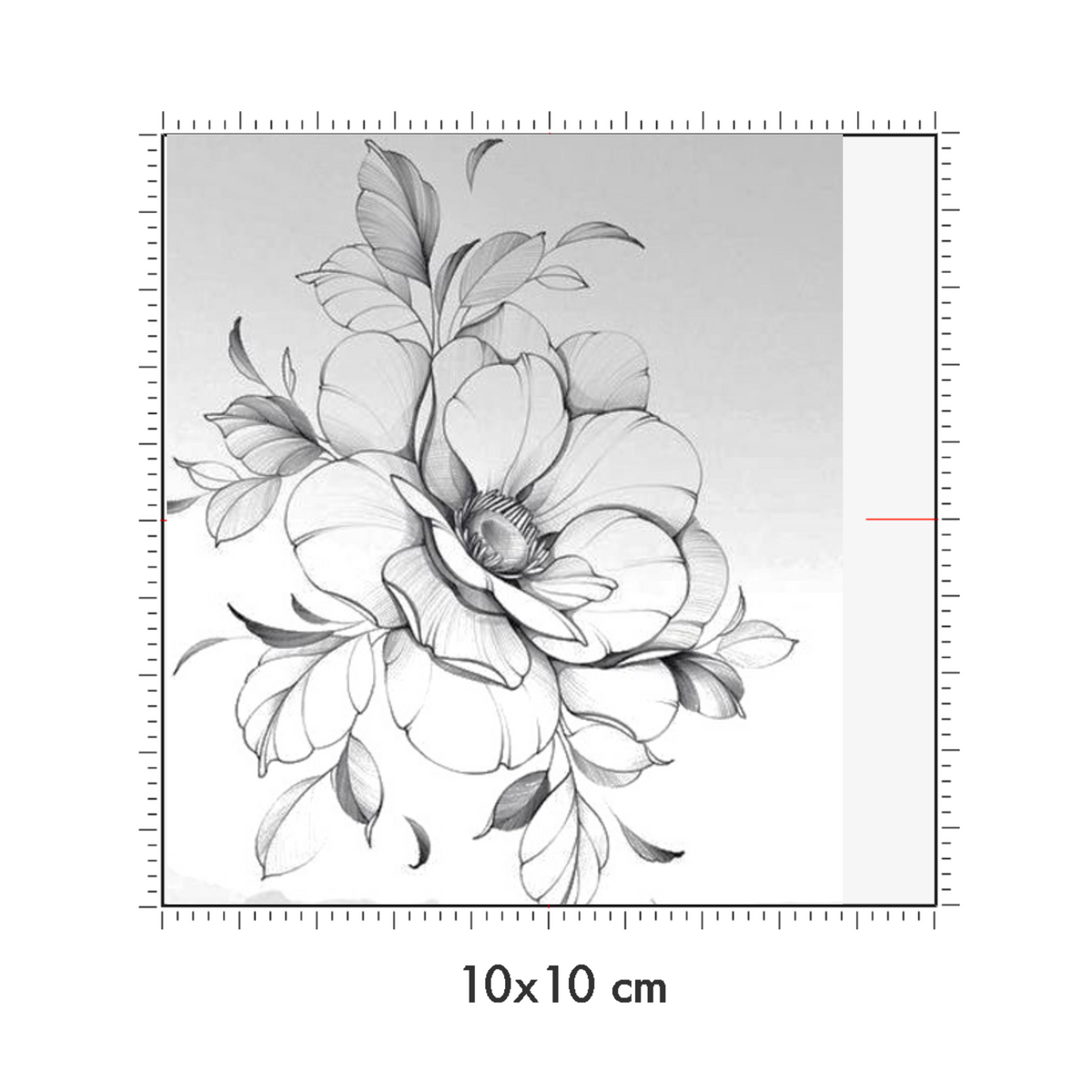 10 x 10 cm