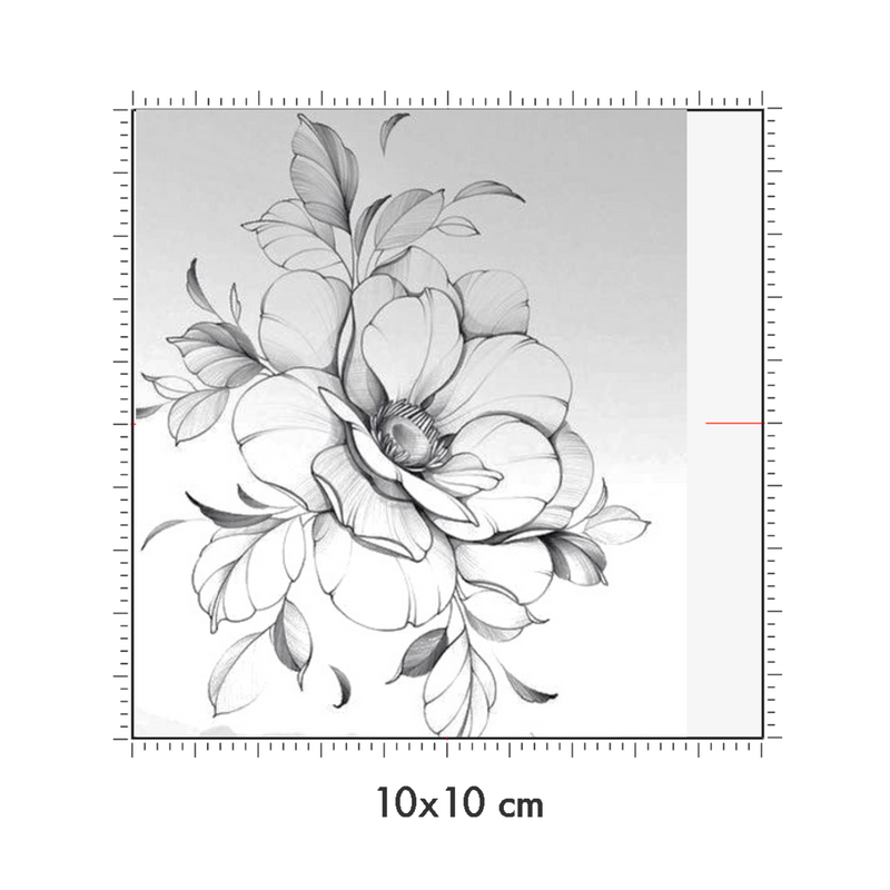 10 x 10 cm